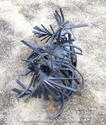 Above Tendrils Rt