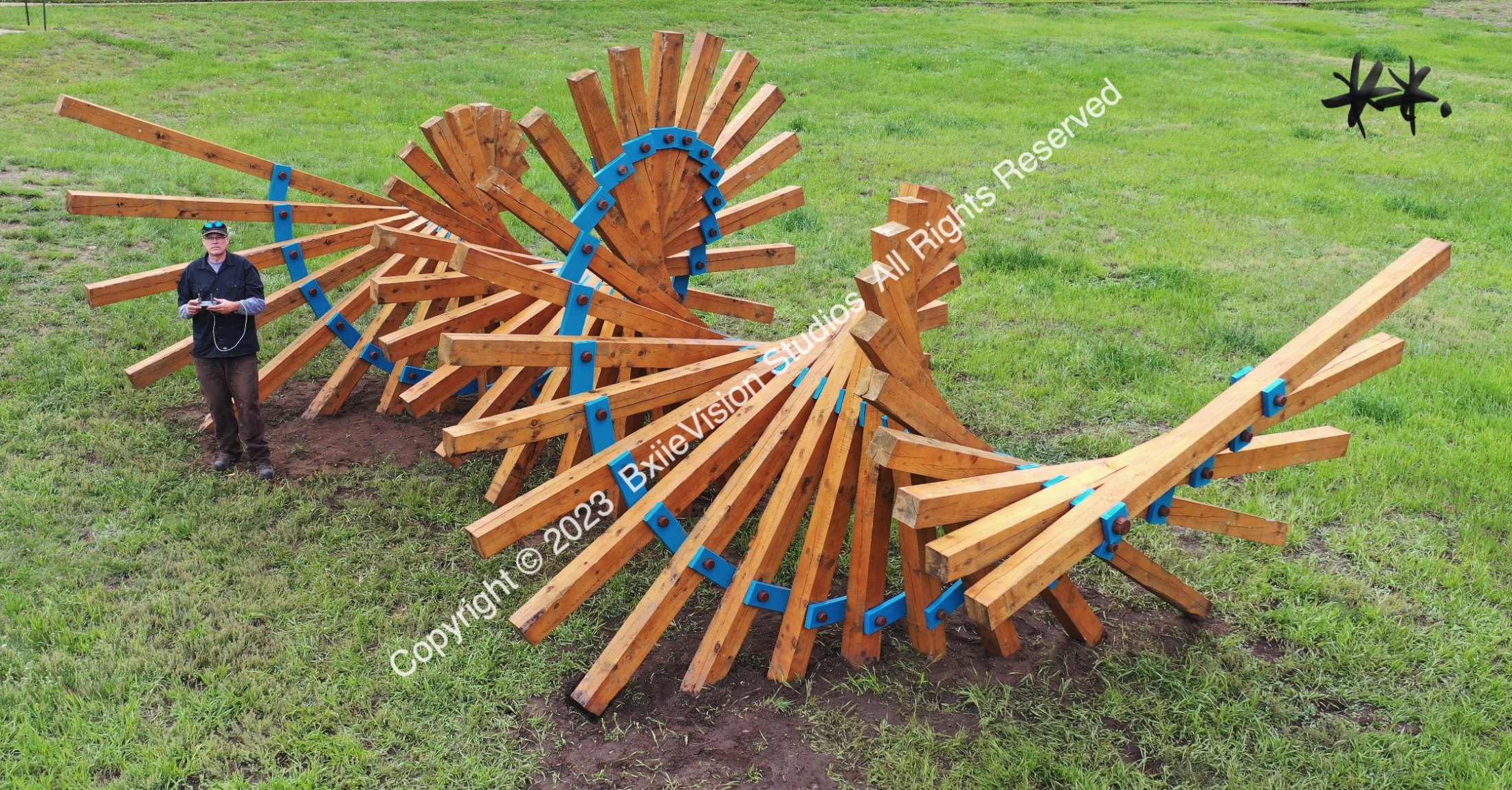 Evergreen Dronie Wm