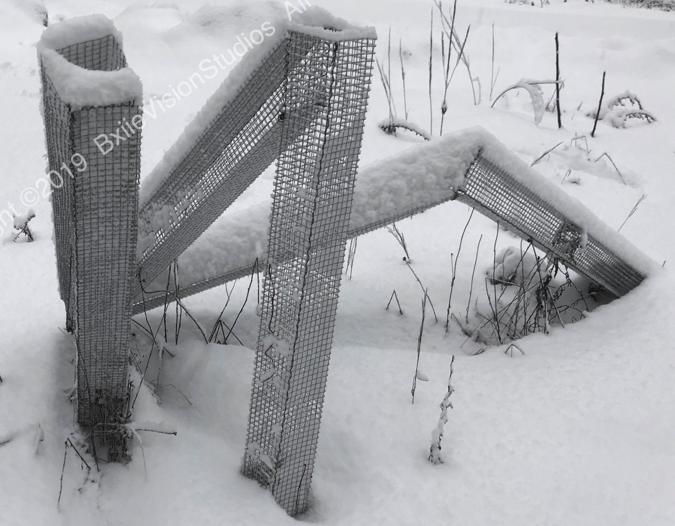 Mesh Snow Wm