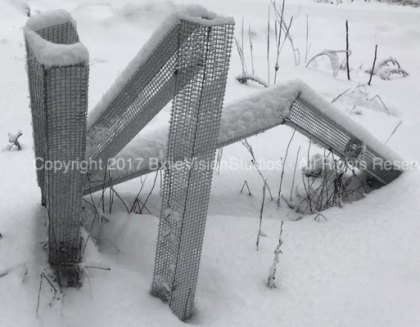Mesh Snow Rt