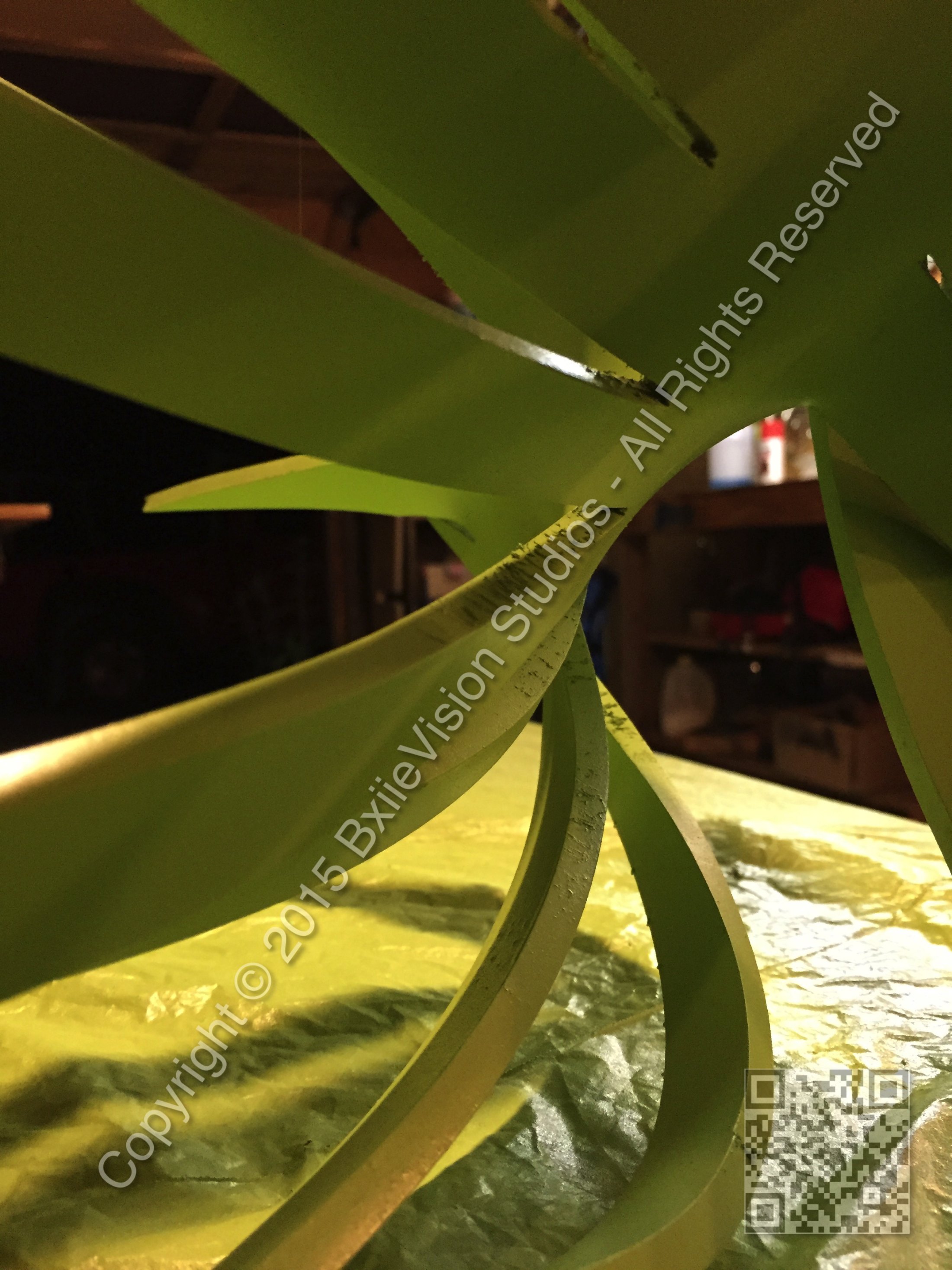 IMG 0824 Wm
