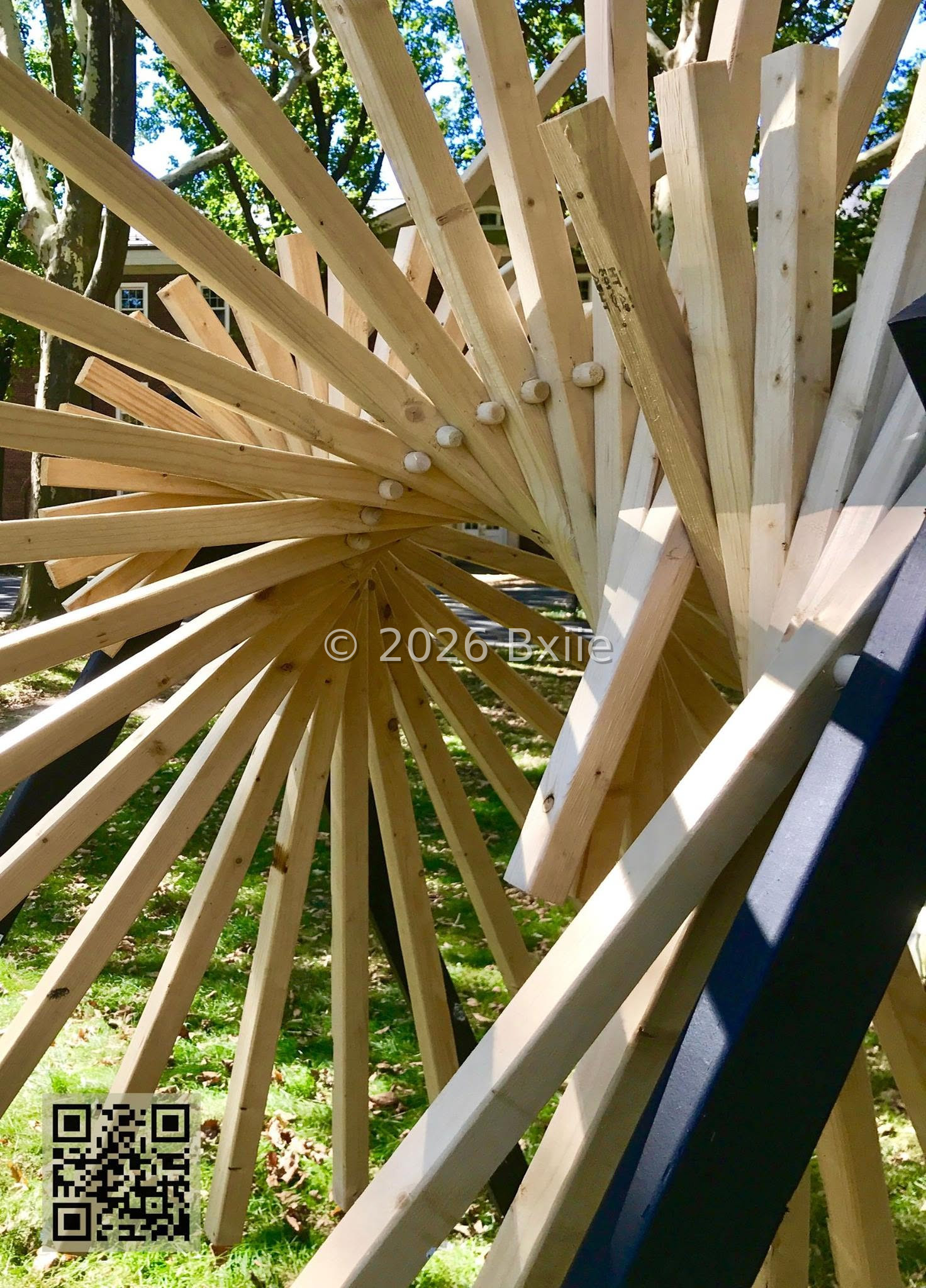 Swarm Experimentation