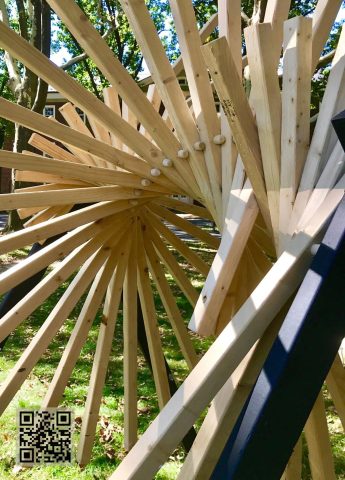 Swarm Experimentation