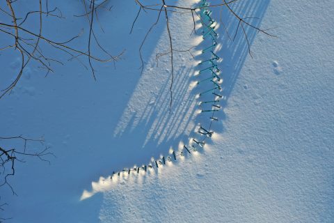 Reoriented in Winter