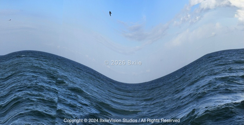 Black Sea