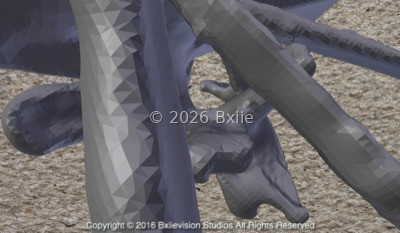 Anniversary 3D Study