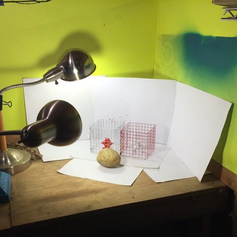 Experiment Photography Setup