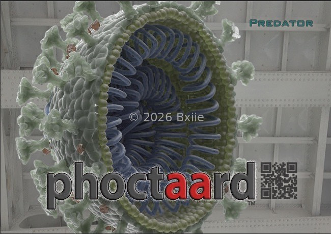 Predator