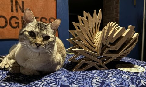 Kitsu and Snail Hill